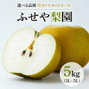 【ふるさと納税】【選べる品種】幸水 豊水 あきづき 5kg 【ふせや梨園】| 農家直送 梨 ナシ 果物 フルーツ 宇都宮市 栃木県 ※2025年8月下旬頃より順...