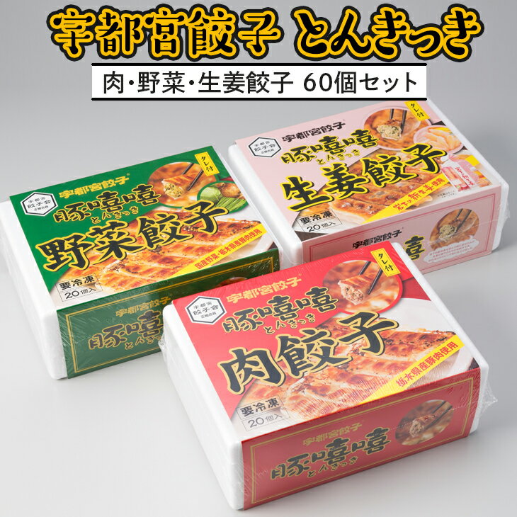 宇都宮餃子 とんきっき 20個入り 肉・野菜・生姜餃子 各1箱[ 餃子 冷凍 ぎょうざ 食べ比べ 栃木県 宇都宮市 ]