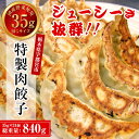 25位! 口コミ数「0件」評価「0」宇都宮餃子専門店 悟空 特製肉餃子 24個入 【餃子 冷凍 ぎょうざ ギョーザ 名物 惣菜 国産野菜 国産豚肉 おかず 弁当 晩ご飯 晩酌 ･･･ 