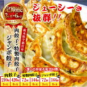【ふるさと納税】【定期便】【選べる配送回数】餃子専門店 宇都宮 悟空 ※離島への配送不可