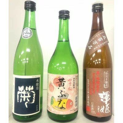 【ふるさと納税】宇都宮の地酒 三蔵飲み比べ 本醸造 3本セット【 お酒 日本酒 ギフト 飲み比べセット 栃木県 宇都宮市 】