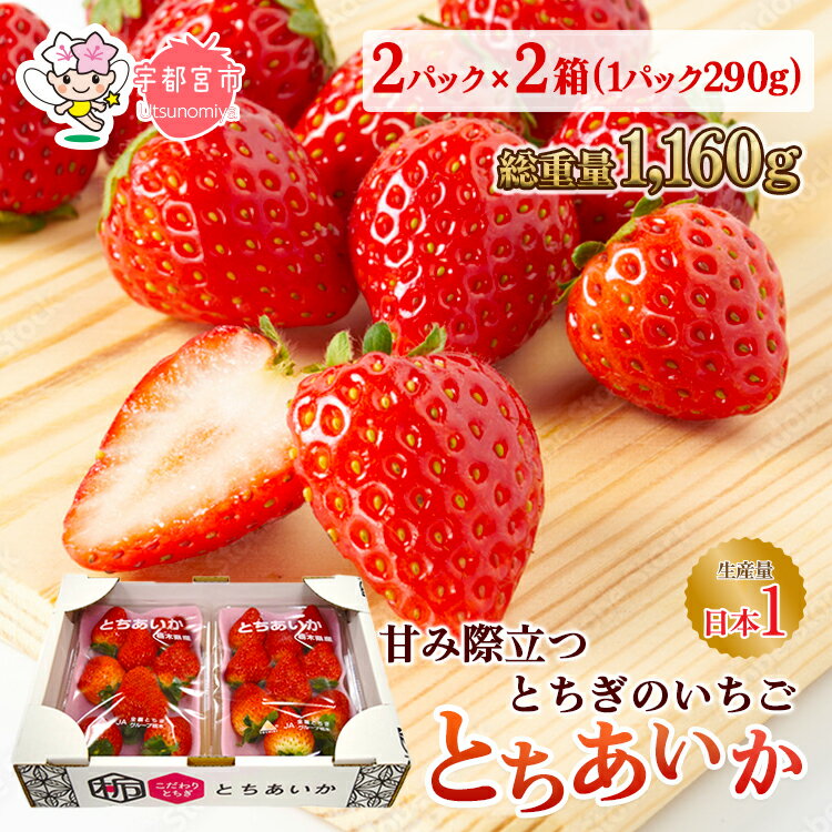 【ふるさと納税】とちあいか いちご 大粒 | ギフト 謝礼品 贈答 | 栃木県 宇都宮市 | 果物 フルーツ 苺 イチゴ 人気｜期間限定 | 2箱 1.16kg（2パック×2箱／2024年1月以降発送）※着日指定不可のサムネイル