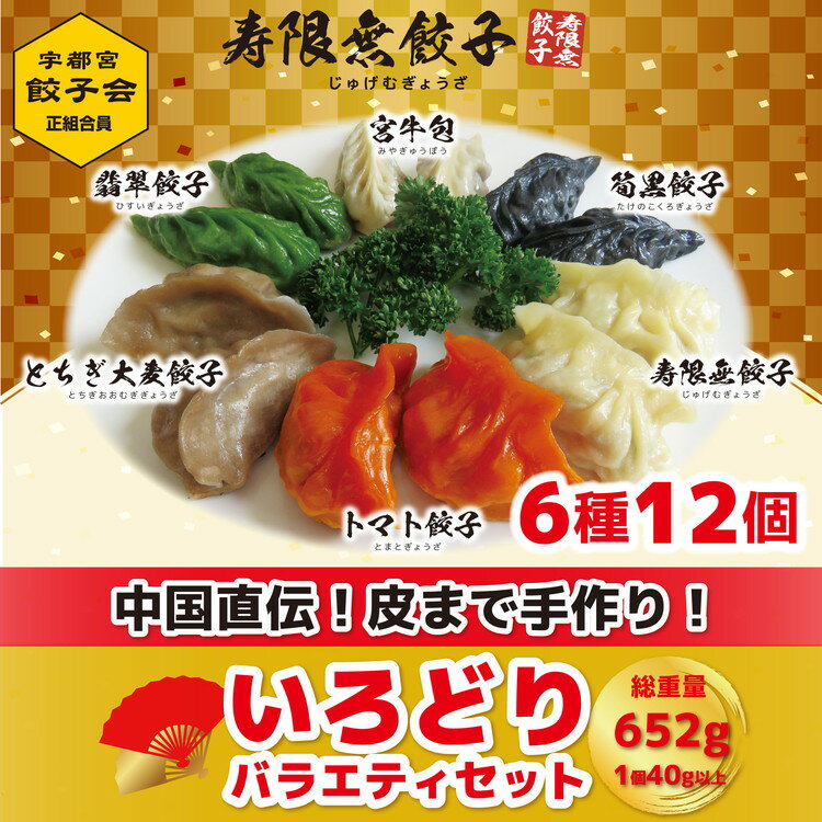 【ふるさと納税】「宇都宮餃子加盟店」寿限無餃子 いろどりバラエティセット(6種12個)【ぎょうざ ギョウザ ギョーザ 冷凍食品 冷凍餃子 惣菜 夜ご飯 おかず おつまみ 手軽 時短 お取り寄せ グルメ 送料無料 栃木県 宇都宮市】※配送不可地域：離島のサムネイル