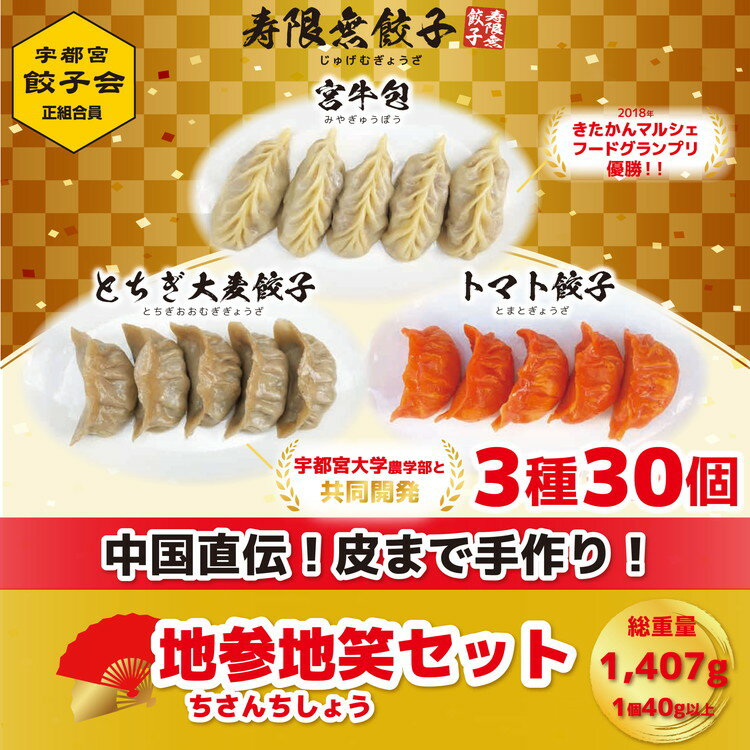 9位! 口コミ数「0件」評価「0」「宇都宮餃子加盟店」寿限無餃子 地参地笑セット(3種30個)【ぎょうざ ギョウザ ギョーザ 冷凍食品 冷凍餃子 惣菜 夜ご飯 おかず おつま･･･ 