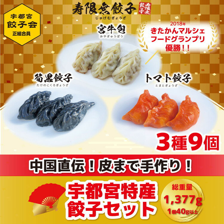 【ふるさと納税】「宇都宮餃子加盟店」寿限無餃子 宇都宮特産餃子セット(3種×各3個・計9個入り)【ぎょうざ ギョウザ ギョーザ 冷凍食品 冷凍餃子 惣菜 夜ご飯 おかず おつまみ 手軽 時短 お取り寄せ グルメ 送料無料 栃木県 宇都宮市】※配送不可地域：離島