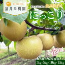 【ふるさと納税】【選べる内容量】にっこり | 栃木県産 宇都宮市 梨 なし にっこり フルーツ 果物 旬 果物 産地直送 ※離島への配送不可 ※2025年10月...