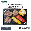 【ふるさと納税】男前グリルプレート tent-Mark DESIGNS テンマクデザイン WILD-1 ワイルドワン ソロテント キャンプ アウトドアギア 料理 キャンプ アウトドアギア テント アウトドアグッズ バーベキュー BBQ グランピング 山 川 海 GW 夏休み※着日指定不可