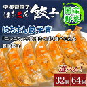 【ふるさと納税】【選べる内容量】宇都宮餃子 はちまん餃子 青 野菜餃子 | 宇都宮餃子 国産野菜 グルメ 宇都宮市 野菜 餃子 ぎょうざ ギョーザ 野菜 冷凍食品 冷凍餃子 焼き餃子 水餃子