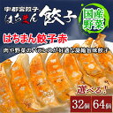 【ふるさと納税】【選べる内容量】宇都宮餃子 はちまん餃子 赤 肉汁餃子 | 宇都宮餃子 国産野菜 グルメ 宇都宮市 肉餃子 餃子 ぎょうざ ギョーザ 野菜 冷凍食品 冷凍餃子 焼き餃子 水餃子