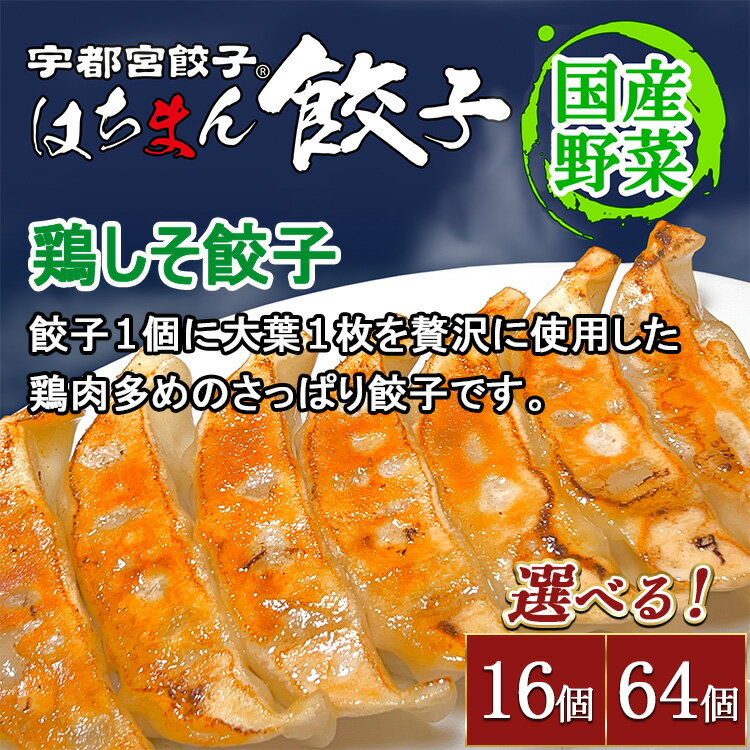 [選べる内容量]宇都宮餃子 はちまん餃子 鶏しそ餃子 | 宇都宮餃子 国産野菜 グルメ 宇都宮市 餃子 冷凍 ぎょうざ ギョーザ 野菜 冷凍食品 冷凍餃子 焼き餃子 水餃子
