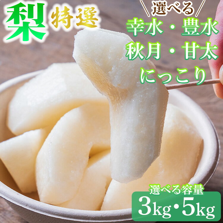 【ふるさと納税】【先行予約】【選べる容量】梨 特選 3kg または 5kg 標準箱 幸水 豊水 秋月 甘太 にっこり| 栃木県産 果物 フルーツ 旬 産地直送 ※離島への配送不可