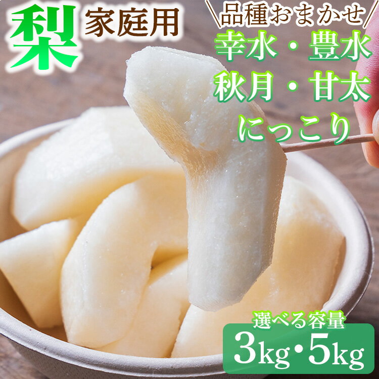 【ふるさと納税】【家庭用】\選べる内容量/ 品種おまかせ 梨 3kg または 5kg 幸水 豊水 秋月 甘太 にっこり| 栃木県産 果物 フルーツ 旬 産地直送 ※離島への配送不可