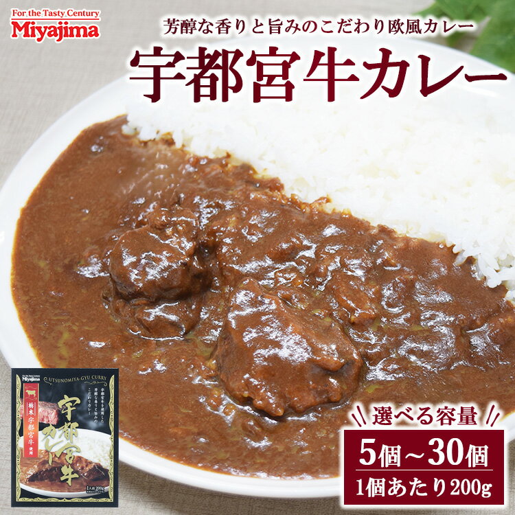【ふるさと納税】【選べる容量】宇都宮牛カレー 200g 5個~30個セット