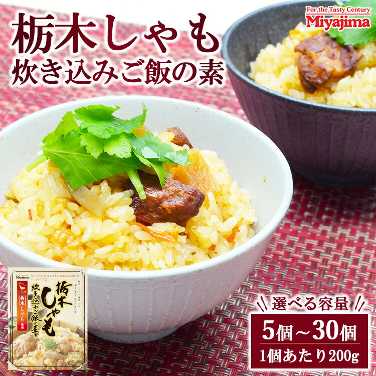 【ふるさと納税】【選べる容量】栃木しゃも炊き込みご飯の素 200g 5個~30個セット