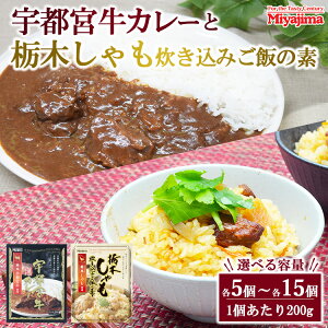 【ふるさと納税】【選べる容量】宇都宮牛カレー 200g+栃木しゃも炊き込みご飯の素 200g