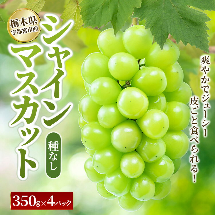 【ふるさと納税】シャインマスカット 350g×4パック｜ぶどう 葡萄 果物 くだもの フルーツ 旬 数量限定 産地直送 栃木県 宇都宮市 ※2025年8月下旬～9月下旬頃に順次発送予定のサムネイル