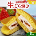 【ふるさと納税】生どら焼き とちあいか2倍 10個入り | お菓子 和菓子 スイーツ 栃木県 宇都宮市