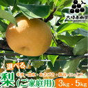 【ふるさと納税】【先行予約】【選べる内容量・品種】梨 3kg または 5kg 箱(家庭用)幸水 豊水 あきづき 新高 にっこり 旬 産地直送 フルーツ 果物 贈...