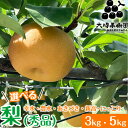 【ふるさと納税】【先行予約】【選べる内容量・品種】梨 3kg または 5kg 箱(秀品)|幸水 豊水 あきづき 新高 にっこり 旬 産地直送 フルーツ 果物 贈...