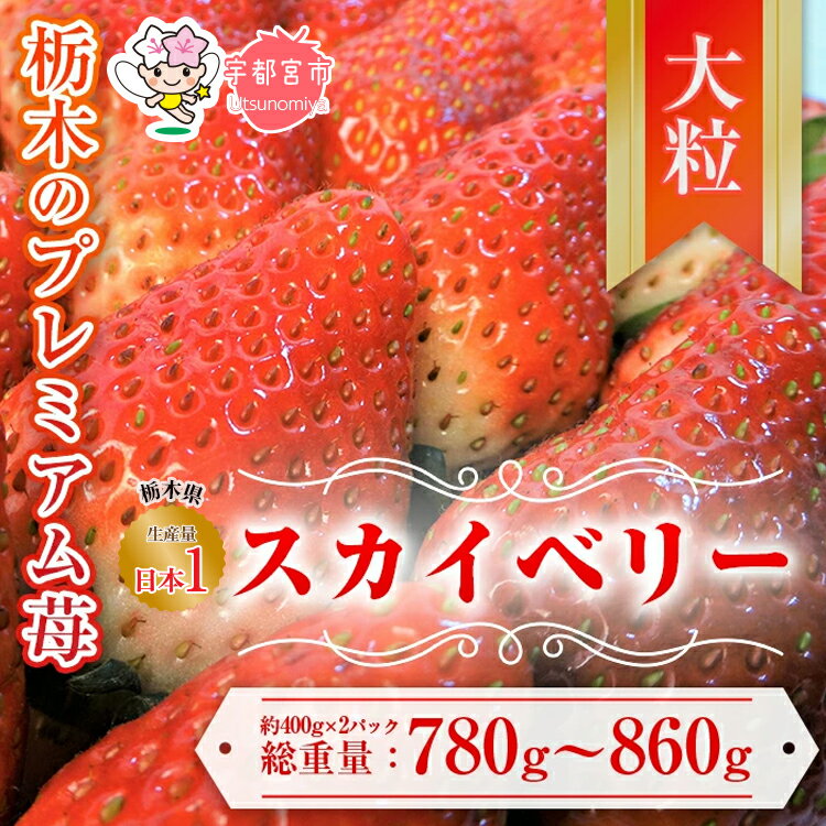 【ふるさと納税】スカイベリー 約390g～430g×2パック※離島への配送不可※2024年1月中旬頃より順次発送予定のサムネイル