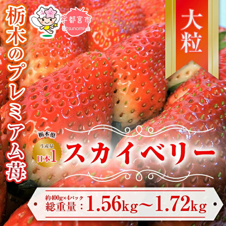 楽天栃木県宇都宮市【ふるさと納税】【先行予約】スカイベリー 約390g～430g×4パック | いちご 栃木 スカイベリー 甘い 糖度 旬 新鮮 フルーツ 果物 アレンジ スイーツ いちごジャム フルーツサンド　※離島への配送不可　※2025年1月中旬～3月下旬頃に順次発送予定