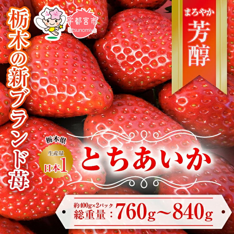 【ふるさと納税】【先行予約】とちあいか 約380g～420g×2パック | いちご 栃木 とちあいか 甘い 糖度 旬 新鮮 フルーツ 果物 アレンジ スイーツ いちごジャム フルーツサンド　※離島への配送不可　※2025年1月中旬～3月下旬頃に順次発送予定のサムネイル
