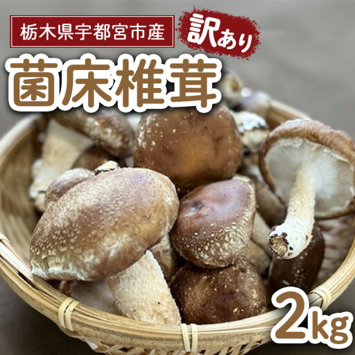【ふるさと納税】【先行受付】【訳あり】栃木県宇都宮市産 菌床椎茸 2kg ※2025年11月以降順次発送予定 【ふるさと納税】【先行受付】【訳あり】栃木県宇都宮市産 菌床椎茸 2kg ※2025年11月以降順次発送予定
