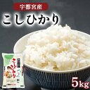 【ふるさと納税】【楽天限定】宇都宮産 こしひかり 5kg