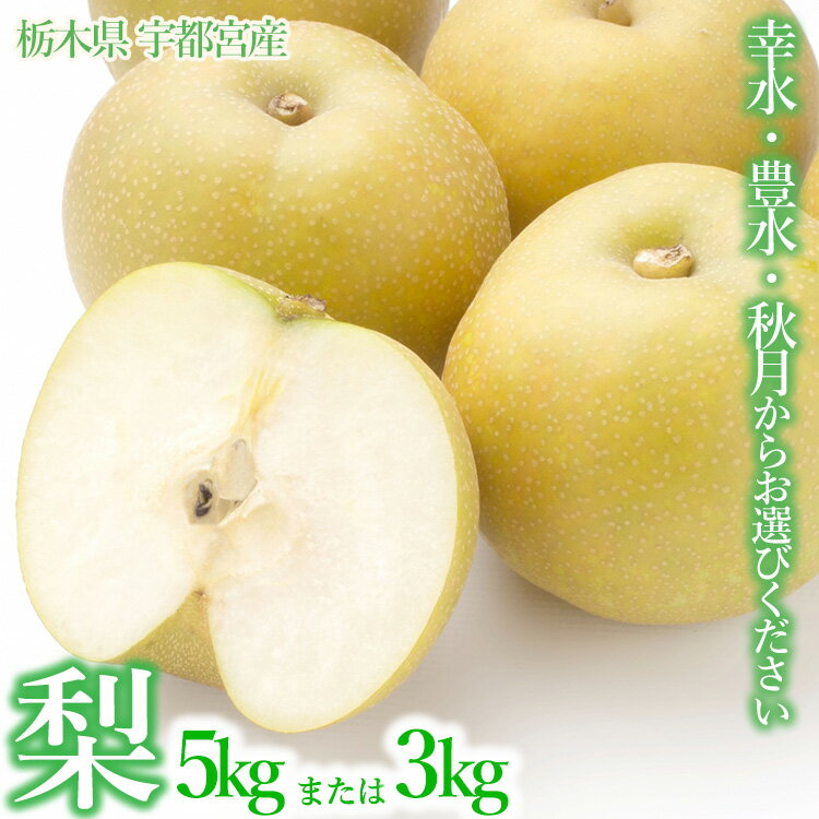 【ふるさと納税】梨 5kg箱 幸水 豊水 秋月 栃木県 宇都宮市産※離島への配送不可※着日指定不可のサムネイル