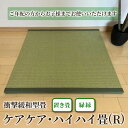 【ふるさと納税】衝撃緩和型畳 「ケアケア・ハイハイ畳(R)」 置き畳 緑縁 1枚【 ご年配から赤ちゃんまで安心!安全! 畳 マット 日本製 栃木県 宇都宮市 】