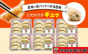 【ふるさと納税】「宇都宮餃子館」の 健太餃子 8個入り×6パック(計48個)【 餃子 冷凍 ぎょうざ 栃木県 宇都宮市 】※配送不可地域:離島
