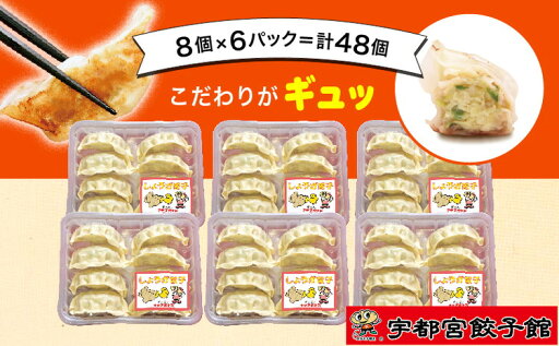 【ふるさと納税】「宇都宮餃子館」の しょうが餃子 8個入り×6パック(計48個)【 餃子 冷凍 ぎょうざ 栃木県 宇都宮市 】※配送不可地域:離島 【ふるさと納税】「宇都宮餃子館」の しょうが餃子 8個入り×6パック(計48個)【 餃子 冷凍 ぎょうざ 栃木県 宇都宮市 】※配送不可地域:離島