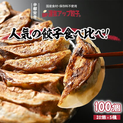 宇都宮餃子 5種類味比べ(合計100個)【ぎょうざ ギョウザ ギョーザ 冷凍食品 冷凍餃子 惣菜 夜ご飯 おかず おつまみ 手軽 時短 お取り寄せ グルメ 送料無料 栃木県 宇都宮市】※配送不可地域：離島