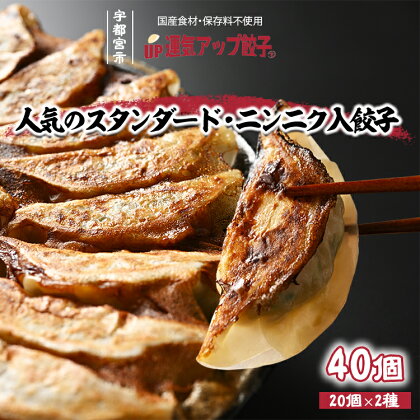 宇都宮餃子 2種類味比べ(合計40個)【ぎょうざ ギョウザ ギョーザ 冷凍食品 冷凍餃子 惣菜 夜ご飯 おかず おつまみ 手軽 時短 お取り寄せ グルメ 送料無料 栃木県 宇都宮市】※配送不可地域：離島