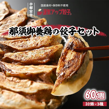 宇都宮餃子 鶏餃子 3種類味比べ(合計60個)【ぎょうざ ギョウザ ギョーザ 冷凍食品 冷凍餃子 惣菜 夜ご飯 おかず おつまみ 手軽 時短 お取り寄せ グルメ 送料無料 栃木県 宇都宮市】※配送不可地域：離島