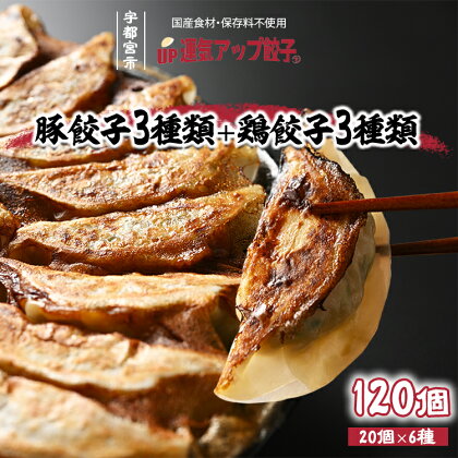 宇都宮餃子 6種類味比べ(合計120個)【ぎょうざ ギョウザ ギョーザ 冷凍食品 冷凍餃子 惣菜 夜ご飯 おかず おつまみ 手軽 時短 お取り寄せ グルメ 送料無料 栃木県 宇都宮市】※配送不可地域：離島