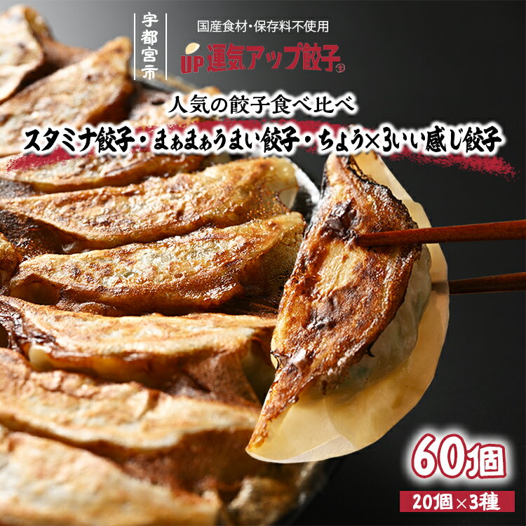 宇都宮餃子 豚餃子 3種類(合計60個)[ぎょうざ ギョウザ ギョーザ 冷凍食品 冷凍餃子 惣菜 夜ご飯 おかず おつまみ 手軽 時短 お取り寄せ グルメ 送料無料 栃木県 宇都宮市]※配送不可地域:離島