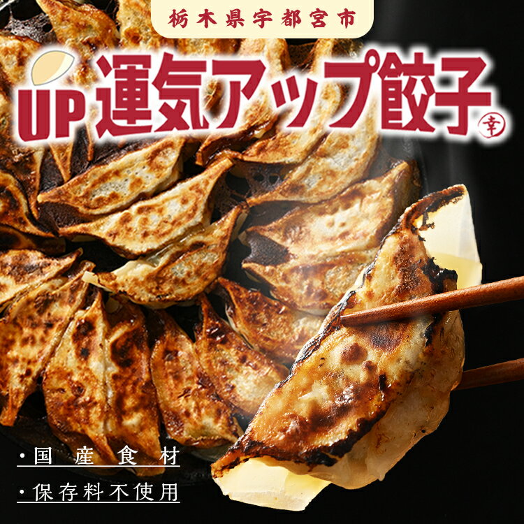 【ふるさと納税】【定期便12回】宇都宮餃子 ちょう×3いい感じ餃子 100個 保存料不使用【ぎょうざ ギョウザ ギョーザ 冷凍食品 冷凍餃子 惣菜 夜ご飯 おかず おつまみ 手軽 時短 お取り寄せ グルメ 送料無料 栃木県 宇都宮市】※配送不可地域：離島