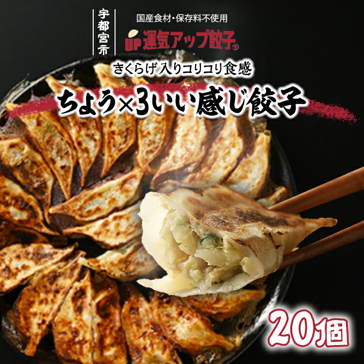 宇都宮餃子 ちょう×3いい感じ餃子 20個 保存料不使用[ぎょうざ ギョウザ ギョーザ 冷凍食品 冷凍餃子 惣菜 夜ご飯 おかず おつまみ 手軽 時短 お取り寄せ グルメ 送料無料 栃木県 宇都宮市]※配送不可地域:離島