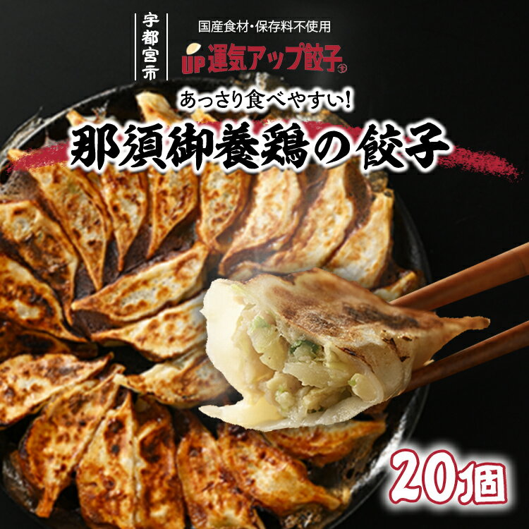 宇都宮餃子 那須御養鶏の餃子 20個 保存料不使用[ぎょうざ ギョウザ ギョーザ 冷凍食品 冷凍餃子 惣菜 夜ご飯 おかず おつまみ 手軽 時短 お取り寄せ グルメ 送料無料 栃木県 宇都宮市]※配送不可地域:離島