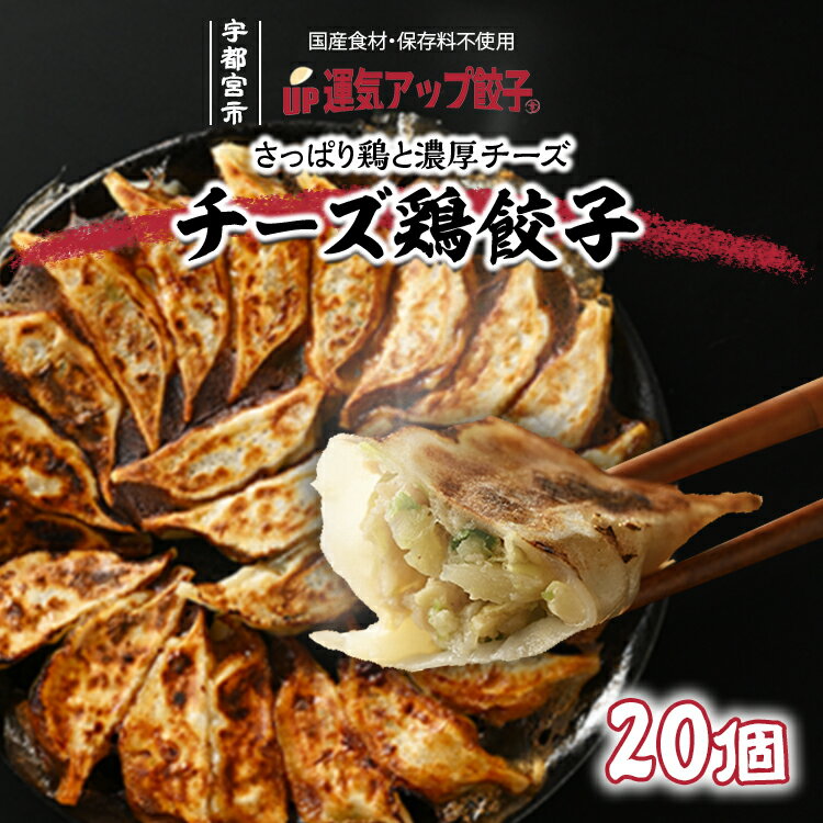 宇都宮餃子 チーズ鶏餃子 20個 保存料不使用[ぎょうざ ギョウザ ギョーザ 冷凍食品 冷凍餃子 惣菜 夜ご飯 おかず おつまみ 手軽 時短 お取り寄せ グルメ 送料無料 栃木県 宇都宮市]※配送不可地域:離島