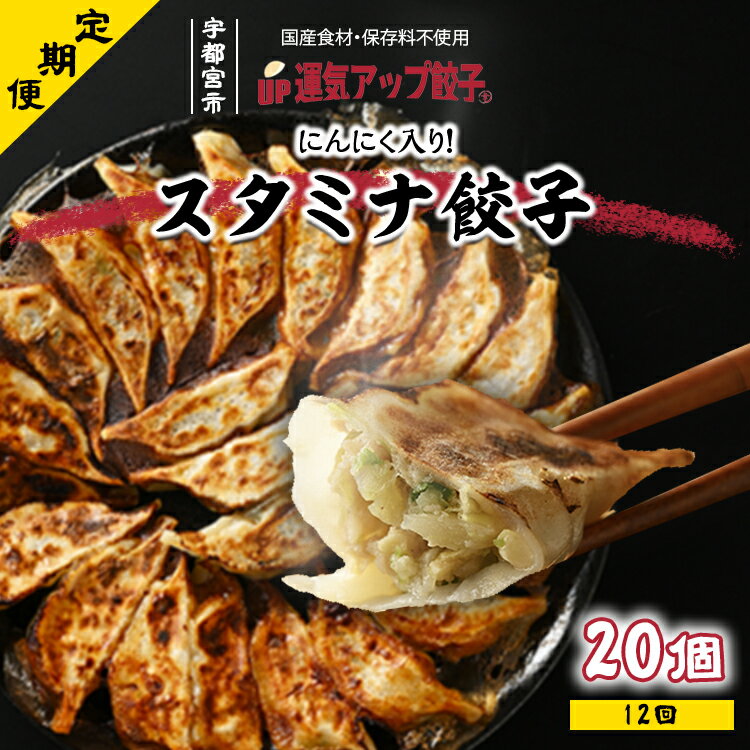 19位! 口コミ数「0件」評価「0」【定期便12回】宇都宮餃子 ニンニクマシマシ スタミナ餃子 20個 保存料不使用 【ぎょうざ ギョウザ ギョーザ 冷凍食品 冷凍餃子 惣菜 ･･･ 