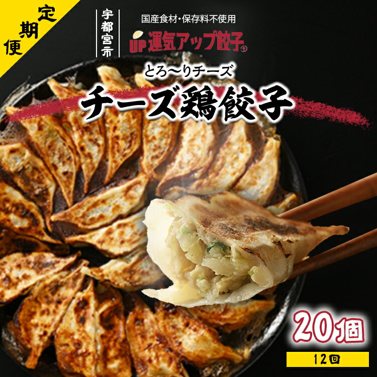 [定期便12回]宇都宮餃子 運気アップ餃子 チーズ鶏餃子20個 保存料不使用[ぎょうざ ギョウザ ギョーザ 冷凍食品 冷凍餃子 惣菜 夜ご飯 おかず おつまみ 手軽 時短 お取り寄せ グルメ 送料無料 栃木県 宇都宮市]※配送不可地域:離島