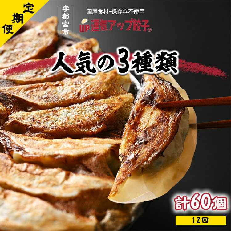 [定期便12回]宇都宮餃子 豚餃子 3種類[ぎょうざ ギョウザ ギョーザ 冷凍食品 冷凍餃子 惣菜 夜ご飯 おかず おつまみ 手軽 時短 お取り寄せ グルメ 送料無料 栃木県 宇都宮市]※配送不可地域:離島