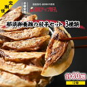 【ふるさと納税】【定期便12回】宇都宮餃子 運気アップ餃子 鶏餃子3種類味比べ(合計60個) 保存料不使用【ぎょうざ ギョウザ ギョーザ 冷凍食品 冷凍餃子 惣...