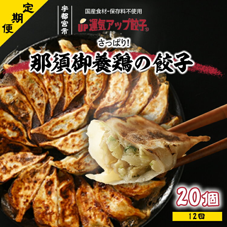 [定期便12回]宇都宮餃子 運気アップ餃子 那須御養鶏の餃子20個 保存料不使用[ぎょうざ ギョウザ ギョーザ 冷凍食品 冷凍餃子 惣菜 夜ご飯 おかず おつまみ 手軽 時短 お取り寄せ グルメ 送料無料 栃木県 宇都宮市]※配送不可地域:離島