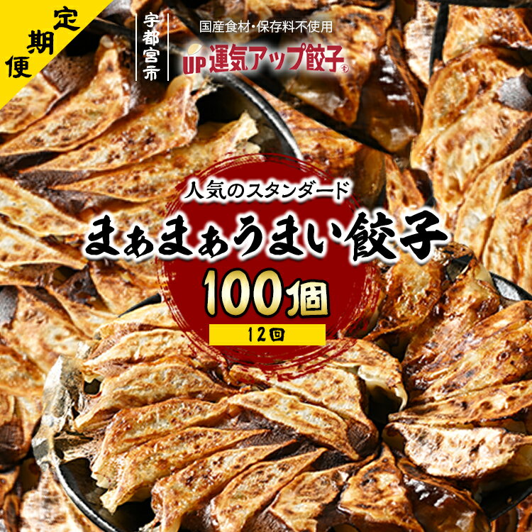 [定期便12回]宇都宮餃子 まあまあウマイ餃子 100個 保存料不使用[ 餃子 ぎょうざ 冷凍餃子 冷凍食品 惣菜 栃木県 宇都宮市 ]※配送不可地域:離島