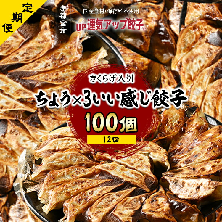 5位! 口コミ数「0件」評価「0」【定期便12回】宇都宮餃子 ちょう×3いい感じ餃子 100個 保存料不使用【ぎょうざ ギョウザ ギョーザ 冷凍食品 冷凍餃子 惣菜 夜ご飯 ･･･ 