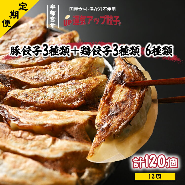 [定期便12回]宇都宮餃子 6種類味比べ[ぎょうざ ギョウザ ギョーザ 冷凍食品 冷凍餃子 惣菜 夜ご飯 おかず おつまみ 手軽 時短 お取り寄せ グルメ 送料無料 栃木県 宇都宮市]※配送不可地域:離島