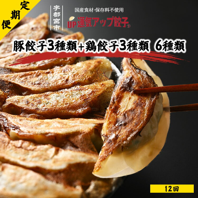 【ふるさと納税】【定期便12回】宇都宮餃子 運気アップ餃子 6種類味比べ(108個×12回 合計1,296個)【ぎょうざ ギョウザ ギョーザ 冷凍食品 冷凍餃子...